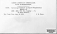 Image Associated With the Occurence